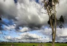 NG体育：巴萨本赛季西甲11轮狂轰37球 排名历史同期第4.