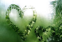 NG体育：遗憾惜败！女子冰壶中国3比4韩国@央视网体育.