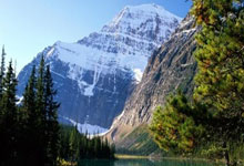 NG体育：奥斯卡、塞尔吉尼奥归化程序启动 国有望添猛将.