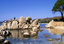 NG体育：达洛特：穆帅执教葡萄牙？我无法预见未来；希望霍伊伦不进球.